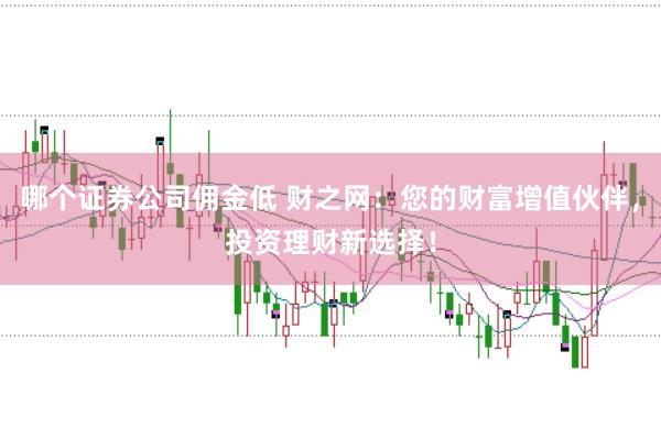 哪个证券公司佣金低 财之网：您的财富增值伙伴，投资理财新选择！