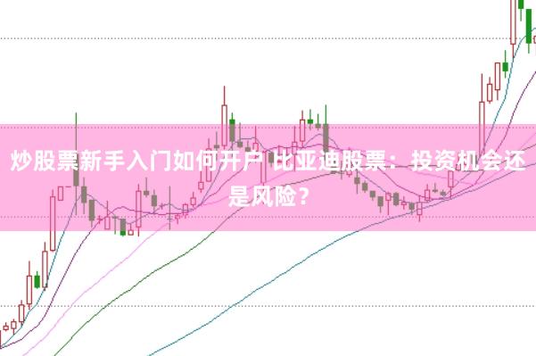炒股票新手入门如何开户 比亚迪股票：投资机会还是风险？