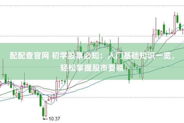 配配查官网 初学股票必知：入门基础知识一览，轻松掌握股市要领
