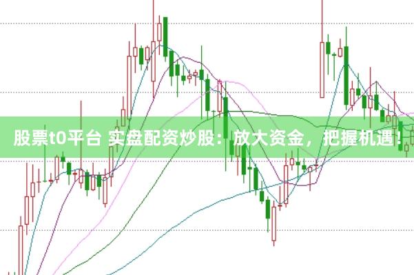 股票t0平台 实盘配资炒股：放大资金，把握机遇！