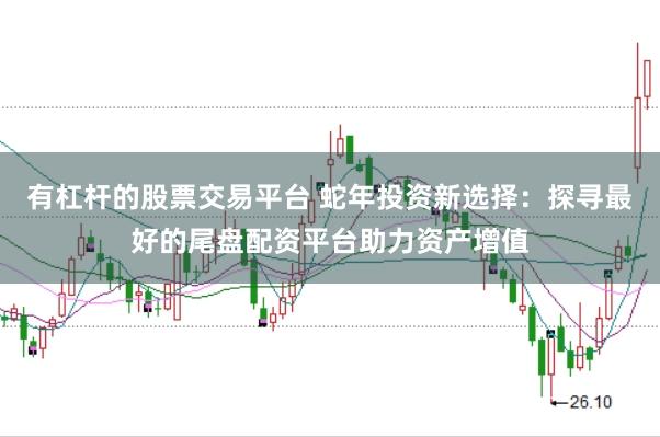 有杠杆的股票交易平台 蛇年投资新选择：探寻最好的尾盘配资平台助力资产增值