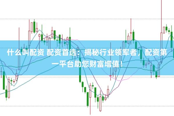 什么叫配资 配资首选：揭秘行业领军者，配资第一平台助您财富增值！