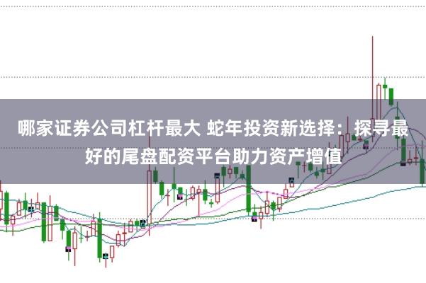 哪家证券公司杠杆最大 蛇年投资新选择：探寻最好的尾盘配资平台助力资产增值