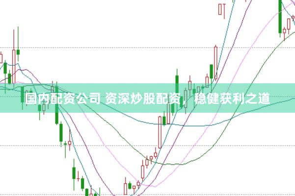 国内配资公司 资深炒股配资，稳健获利之道