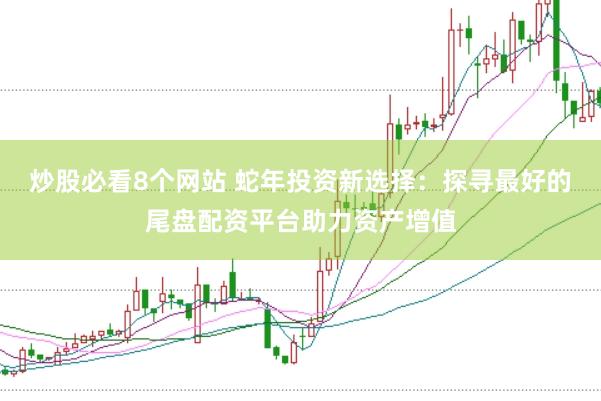 炒股必看8个网站 蛇年投资新选择：探寻最好的尾盘配资平台助力资产增值