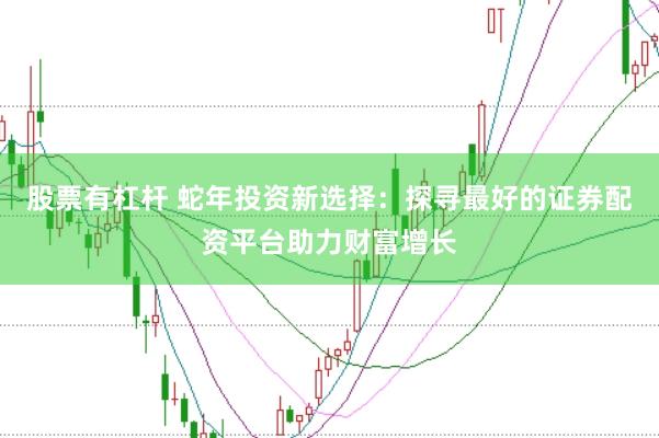 股票有杠杆 蛇年投资新选择：探寻最好的证券配资平台助力财富增长