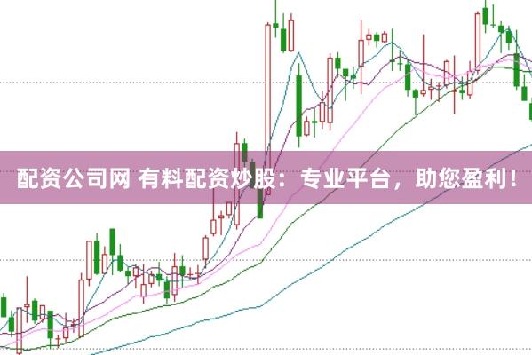 配资公司网 有料配资炒股：专业平台，助您盈利！