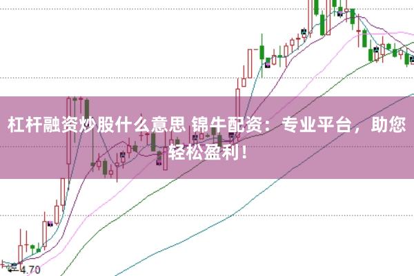 杠杆融资炒股什么意思 锦牛配资：专业平台，助您轻松盈利！