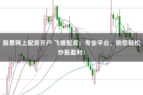 股票网上配资开户 飞猪配资：专业平台，助您轻松炒股盈利！