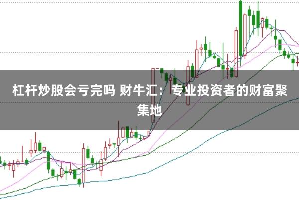 杠杆炒股会亏完吗 财牛汇：专业投资者的财富聚集地