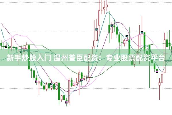 新手炒股入门 温州普臣配资：专业股票配资平台
