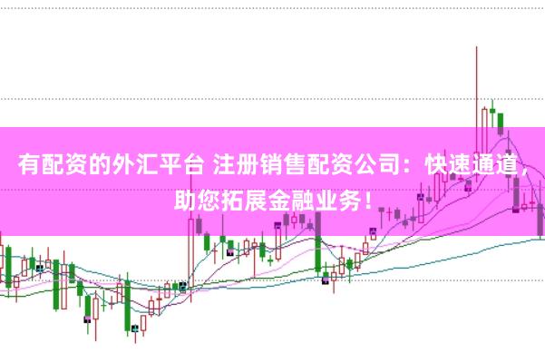有配资的外汇平台 注册销售配资公司：快速通道，助您拓展金融业务！