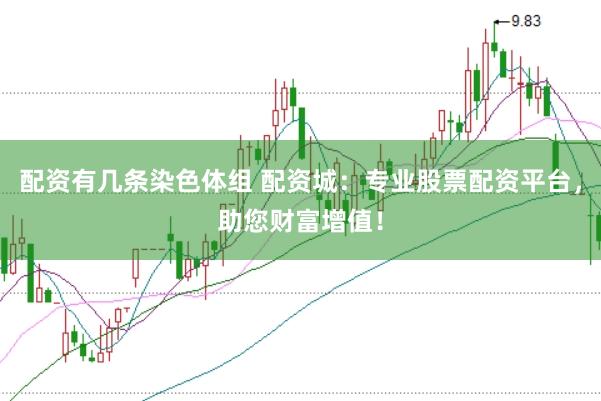 配资有几条染色体组 配资城：专业股票配资平台，助您财富增值！