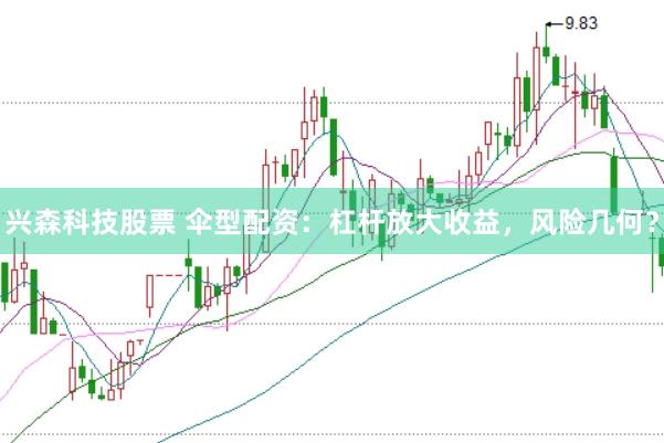 兴森科技股票 伞型配资：杠杆放大收益，风险几何？