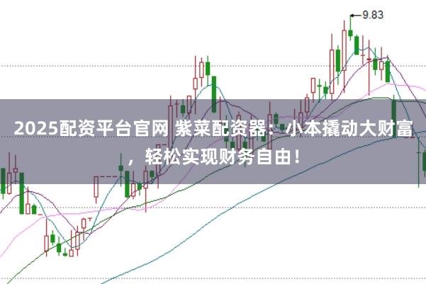 2025配资平台官网 紫菜配资器：小本撬动大财富，轻松实现财务自由！