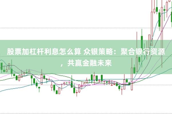 股票加杠杆利息怎么算 众银策略：聚合银行资源，共赢金融未来