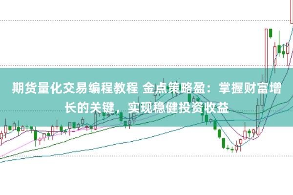 期货量化交易编程教程 金点策略盈：掌握财富增长的关键，实现稳健投资收益