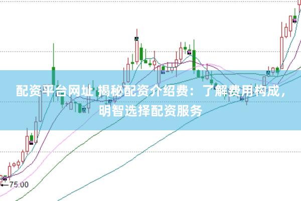 配资平台网址 揭秘配资介绍费：了解费用构成，明智选择配资服务