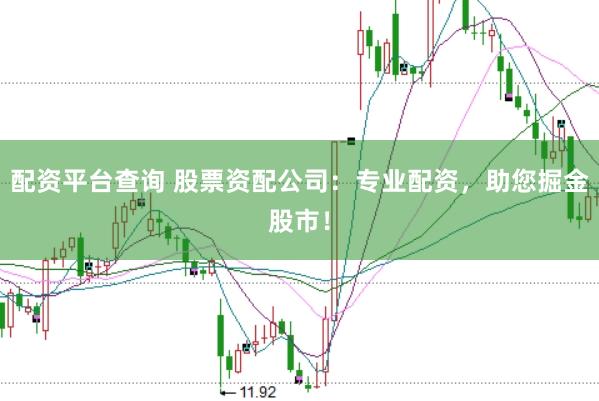 配资平台查询 股票资配公司：专业配资，助您掘金股市！