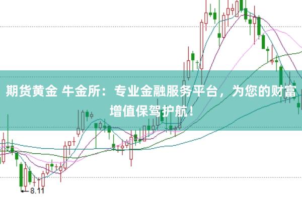 期货黄金 牛金所:专业金融服务平台,为您的财富增值保驾护航!